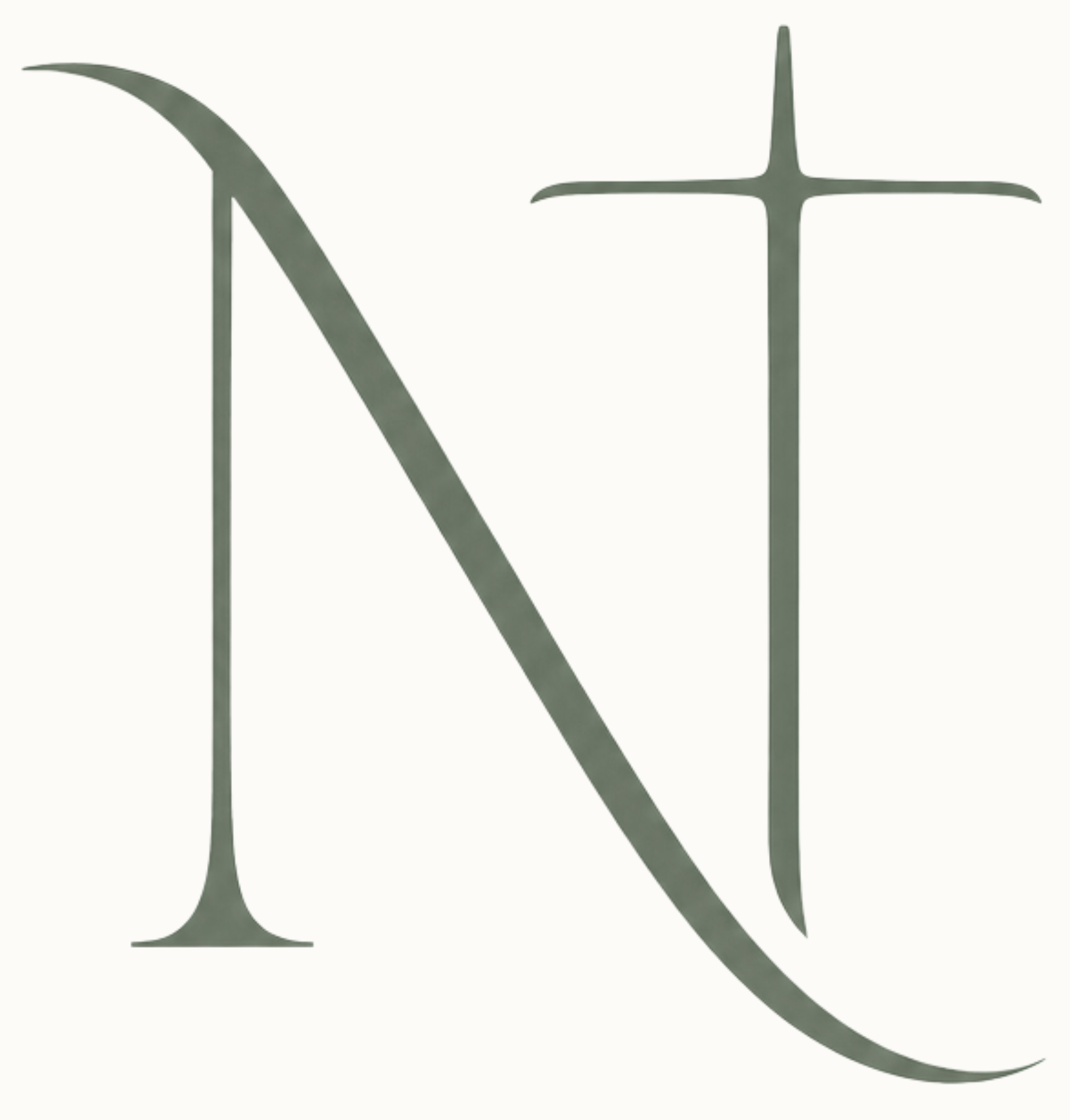 Logo strony - litery N, T.